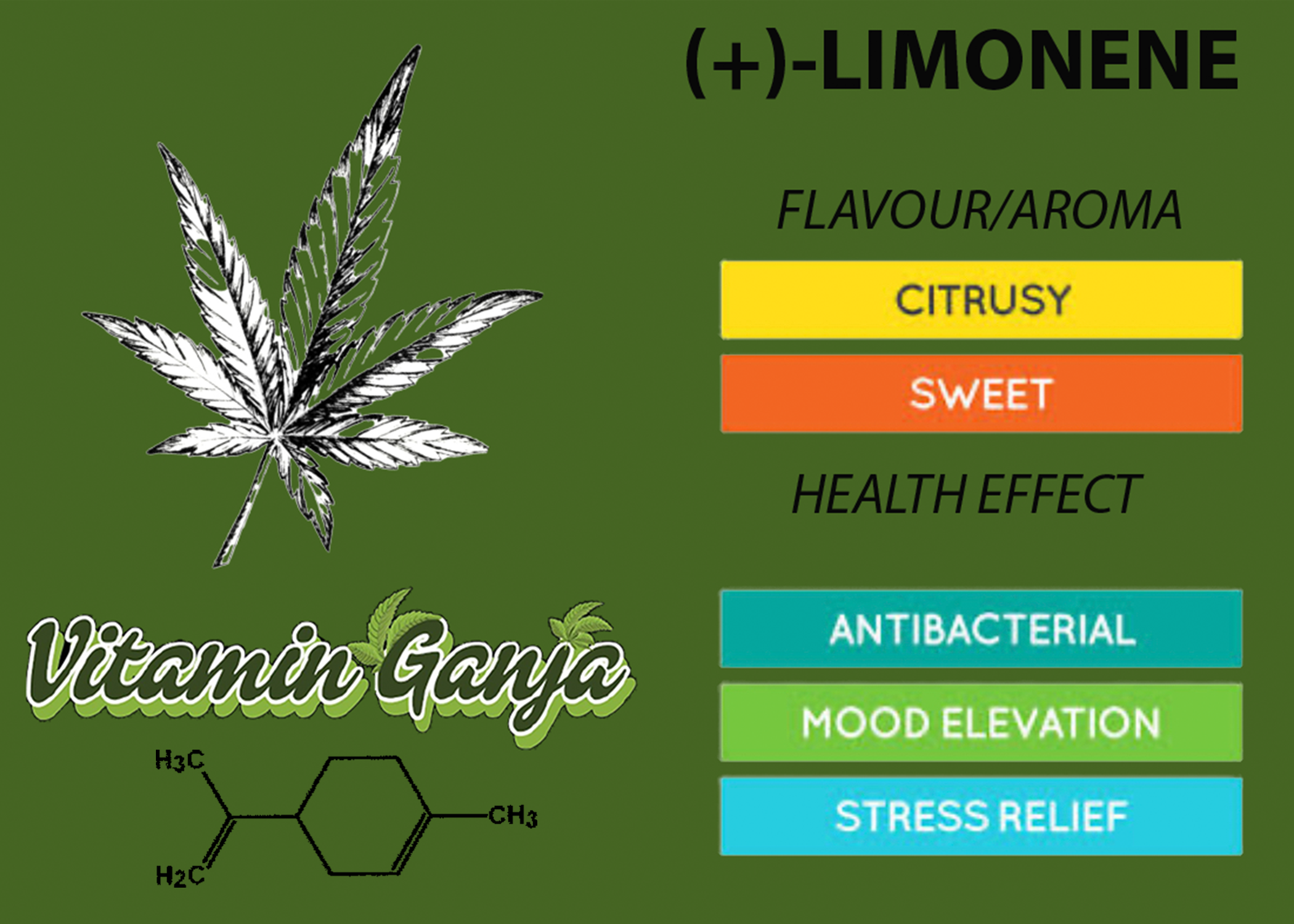 Terpene
