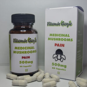 Pain Medical Mushrooms
